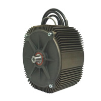 IPMSM205 SERIES MOTOR